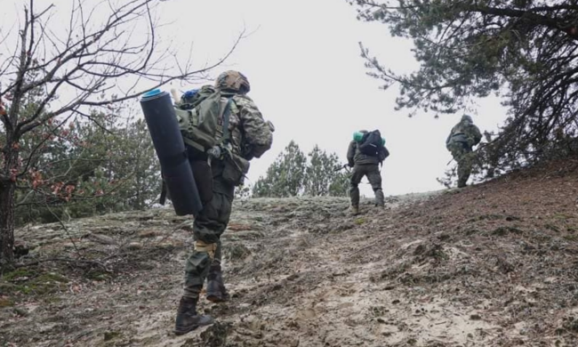 Масштаби лякають: опендатабот опублікував дані щодо СЗЧ та кримінальних справ