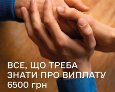 Отримайте 6500 грн допомоги: у Мінсоцполітики детально роз'яснили, хто може оформити