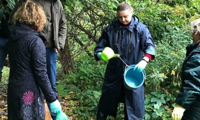 Більш ніж 52 мільйона: в Держекоінспекції розповіли про збитки для природи минулого тижня