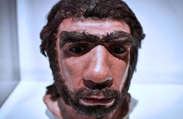 Реконструкция внешнего вида неандертальца, фото: GETTY IMAGES