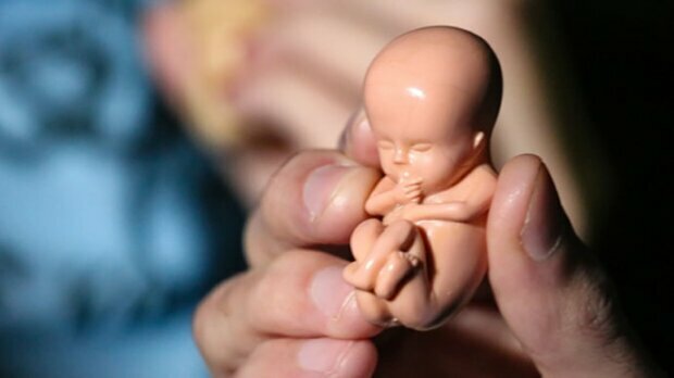 У Києво-Печерській лаврі 11 січня молитимуться про ненароджених дітей, які загинули від абортів