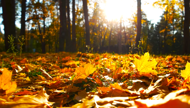 Синоптик Діденко попередила про погоду в Україні 18 листопада