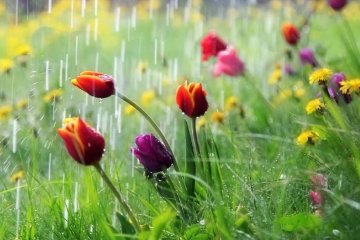 Погода в Украине на 25, 26 апреля. Фото: скриншот Instagram