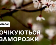Холод накриє всю країну: заморозки до 0° і сильний вітер — прогноз погоди на 27 квітня по областях