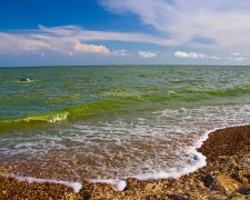 Не купайтесь на одесских пляжах - вода уже позеленела. Людей официально предупредили