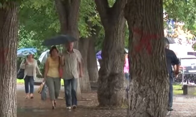 Дождь летом. Фото: скриншот YouTube-видео