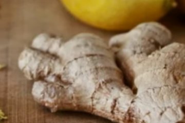 Целебные свойства имбиря и лимона. Фото: скриншот YouTube