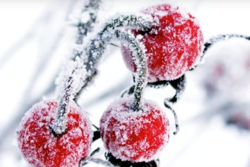 Погода на 31 декабря 2019 года