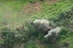Знищення російської піхоти, фото: youtube.com