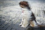 В Киеве объявили штормовое предупреждение. Фото иллюстративное