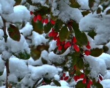 Зима. Фото: скріншот YouTube-відео