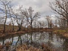 Какая будет погода в Украине 4 декабря - прогноз Наталки Диденко. Фото: из открытых источников