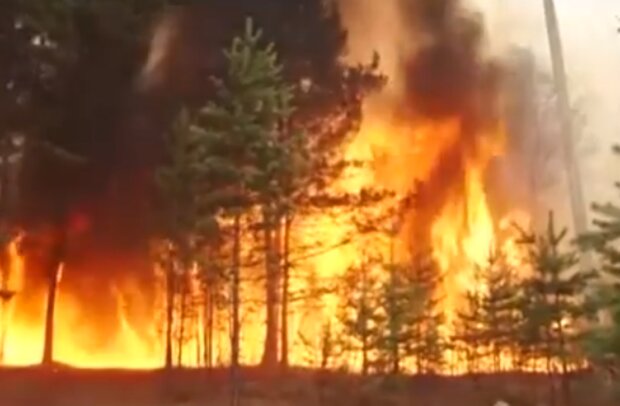 Лісова пожежа. Фото: скріншот YouTube-відео
