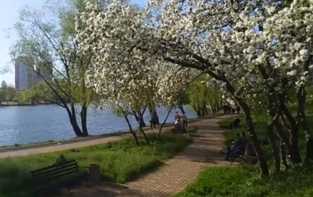 Весна у Києві. Фото: скріншот YouTube-відео