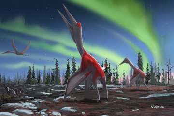 Собрали по кусочкам: палеонтологи показали миру новый вид динозавров - вот это зверюга