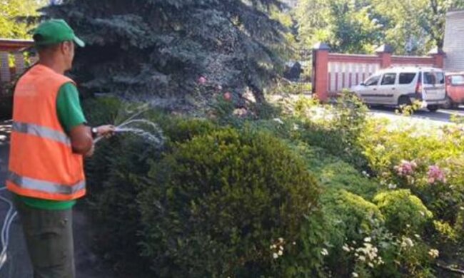 В Киеве в жару поливают клумбы: стало известно, кто за это платит