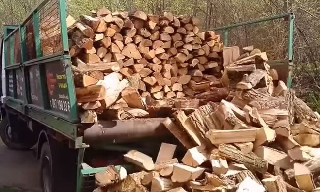 Дрова. Фото: скріншот YouTube-відео