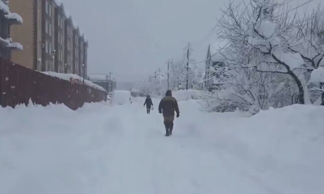 Снежная погода. Фото: скриншот YouTube-видео