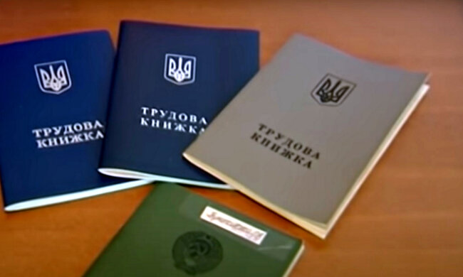 Трудовая книжка. Фото: скриншот YouTube-видео.