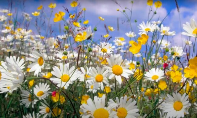 Одесса. фото: скриншот YouTube