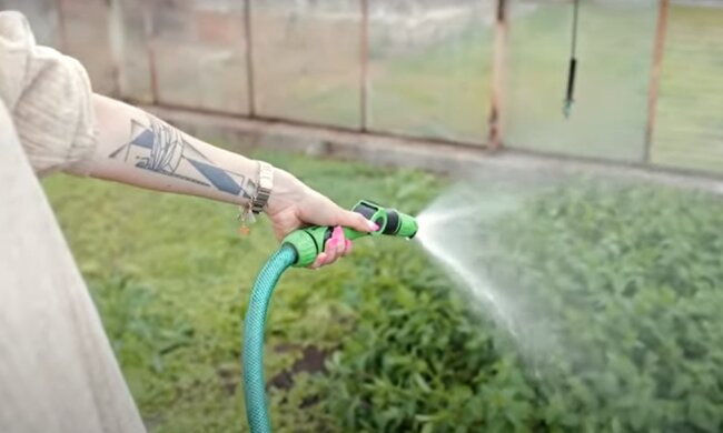 Город. Фото: YouTube