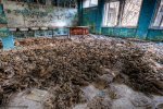 Раскрыли архивы по Чернобылю. Самое страшное оказалось правдой