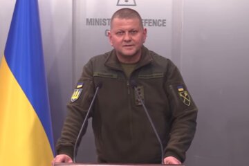 Валерій Залужний. Фото: Facebook, скрін