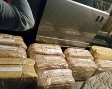 В США Береговой охране удалось обнаружить более 13 тонн кокаина: бюджет целой страны