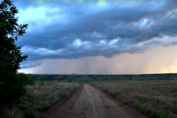 Погода в Украине. Фото: скриншот YouTube-видео.