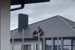 На Волыни ТЦК ворвались на частную территорию и сбросили мужчину с крыши. Фото: Telegram