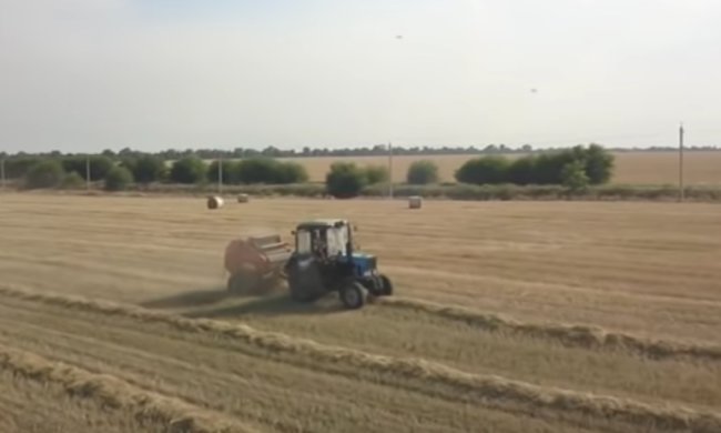 Земля. Фото: youtube