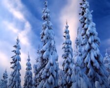 Зима. Фото: скриншот Youtube-видео