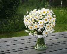 Квіти. Фото: YouTube