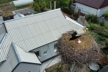 Летняя жара перед похолоданием: синоптик Диденко дала прогноз погоды на выходные - к чему готовиться