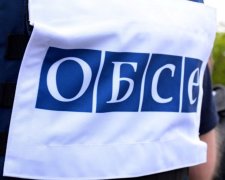 В Украине начала работать миссия ОБСЕ по наблюдению за выборами