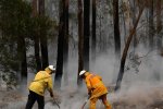 Пожары в Австралии, фото - Reuters