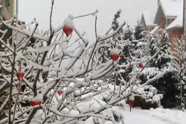 В Украину придут холодные дожди и мокрый снег. Фото: YouTube