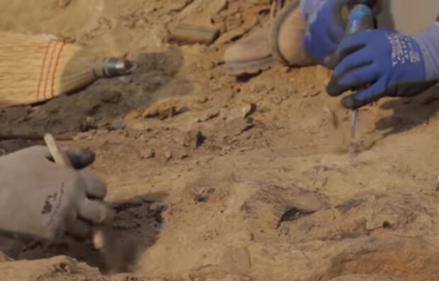 Археологические раскопки. Фото: скриншот YouTube-видео