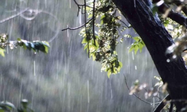 Погода на 4 мая 2020 года