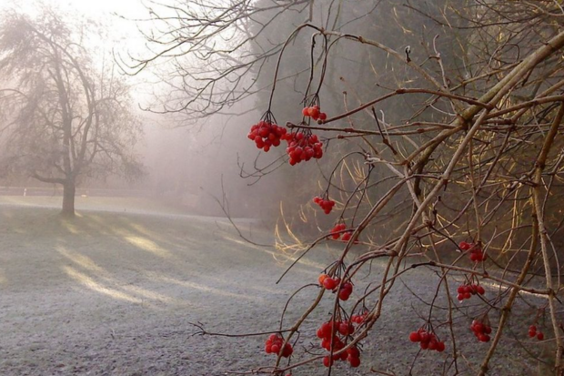 До мінус 5 і все у хмарах: синоптики попередили про погану погоду в неділю