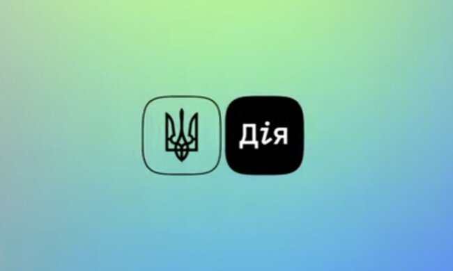 Документы в "Дія" больше не принимают: стало известно, что происходит