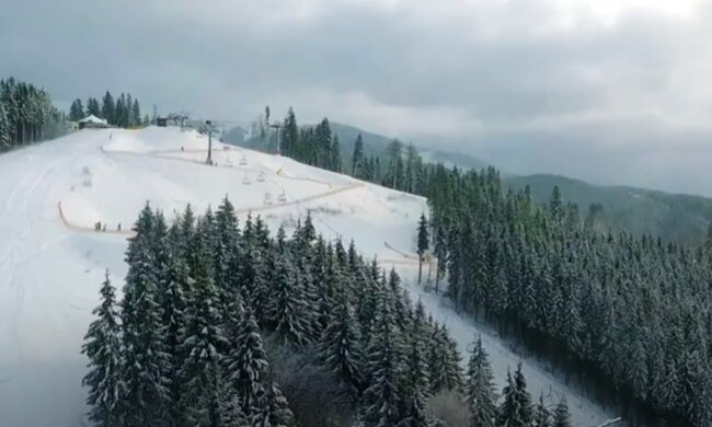 Природа взимку. Фото: скріншот YouTube-відео