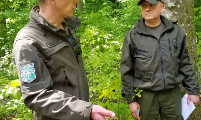 Штраф до 34 тисяч гривень: прийнято закон про обмеження обігу пластикових пакетів