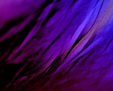 Пурпур. Фото: скріншот YouTube