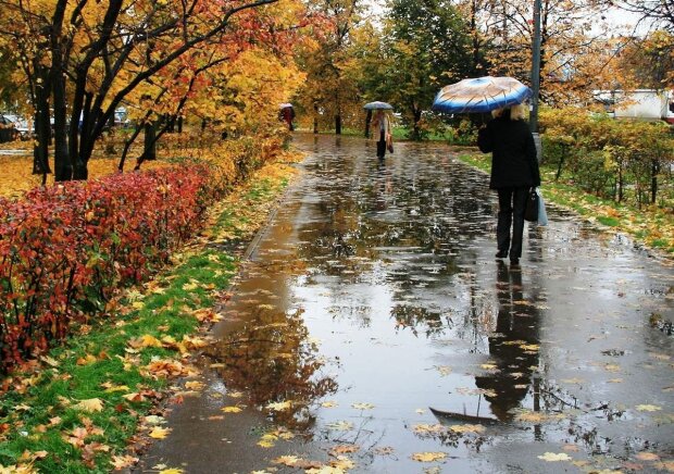 Прохолодно та волого: синоптики розповіли про погоду на 9 жовтня. Фото: з відкритих джерел