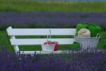Природа. Фото: скриншот YouTube-видео