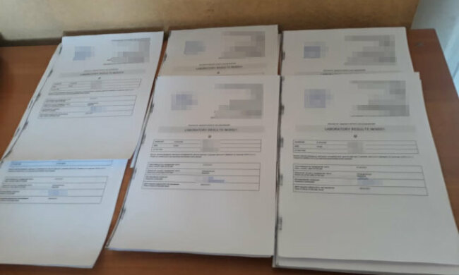 13 обысков и 172 уголовных дела: Енин о результатах борьбы с подделкой "ковидных" документов за неделю