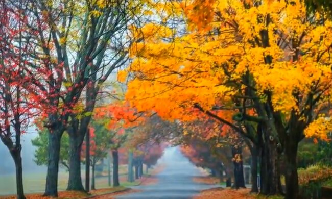 Погода 15 октября 2020 года