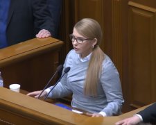 Юлия Тимошенко выступила от имени протестующих фермеров, фото: скриншот с YouTube