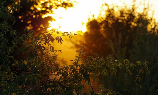 Вот и осень подходит: украинцев уведомили о наступающем похолодании